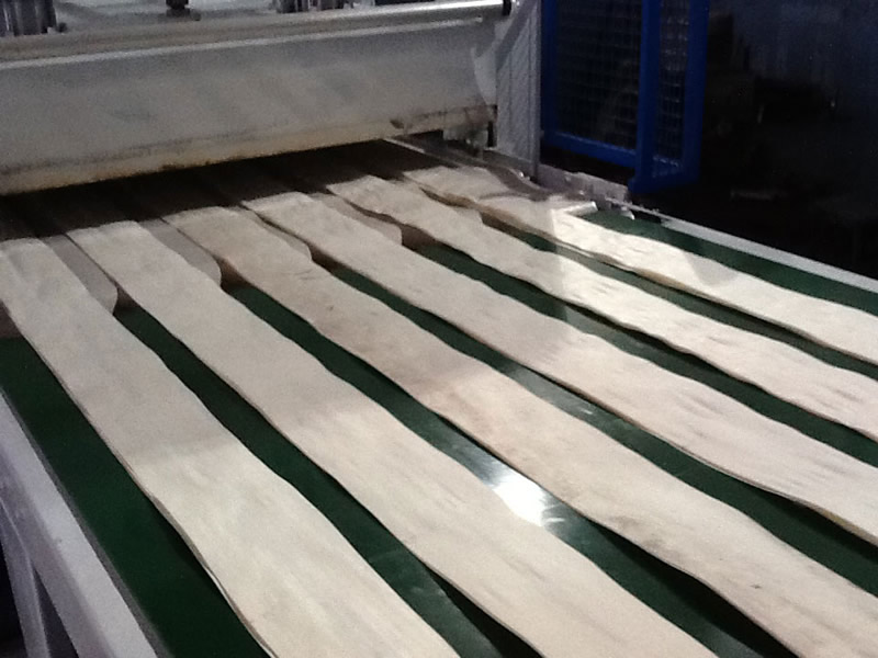 Veneer leveler 